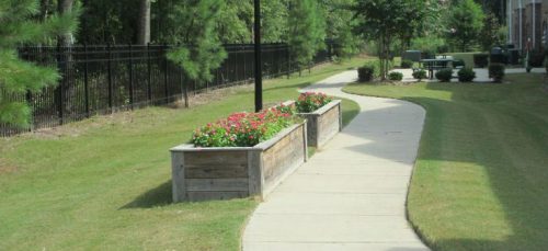 Photo of raised flower beds